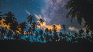 Lake, Trees, Nature, 4K wallpaper