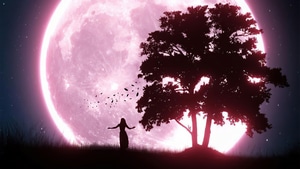 Artist, Artwork, Digital Art, 4K wallpaper