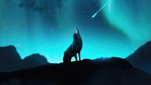 Fox, Minimalism, Minimalist, Artist, Artwork, Digital Art, 4K wallpaper