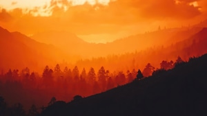 Red Dead Redemption 2, Games, 2021 Games, 4K wallpaper