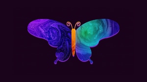 Butterfly, Minimalism, Minimalist, Artist, Artwork, Digital Art, Dark, Black, 4K wallpaper