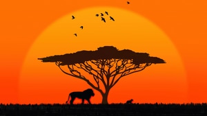 Father, Son, Silhouette, Sunset, Artist, Artwork, Digital Art, Deviantart, Minimalism, Minimalist, 4K wallpaper