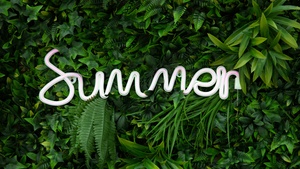 Summer, Neon sign, Green aesthetic, Plants, Ferns, 4K wallpaper