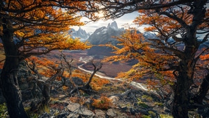 Autumn, Nature, Forest, Mountains, 4K wallpaper