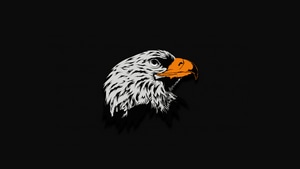 Eagle, Dark, Black, Illustration, Artist, Artwork, Digital Art, 4K wallpaper