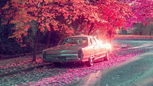 Vintage Cars, Photography, 4K wallpaper