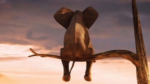 Elephant, Artist, Artwork, Digital Art, 4K wallpaper