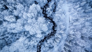 Winter forest, Aerial view, Snow covered, Water Stream, White aesthetic, Cold, 4K wallpaper