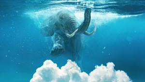 Elephant, Manipulation, Artist, Artwork, Digital Art, 4K wallpaper