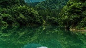 Trees, Lake, Nature, 4K wallpaper