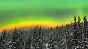 Sky, Snow, Aurora, Northern Lights, Forest, Nature, 4K wallpaper