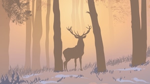 Deer, Reindeer, Forest, Minimalism, Minimalist, Artist, Artwork, Digital Art, 4K wallpaper