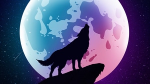 Wolf, Minimalism, Minimalist, Artist, Artwork, Digital Art, 4K wallpaper
