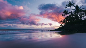 Sunset, Tropical beach, Hawaii, Dawn, 4K wallpaper