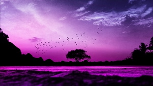 Evening, Pink, Artist, Artwork, Digital Art, 4K wallpaper