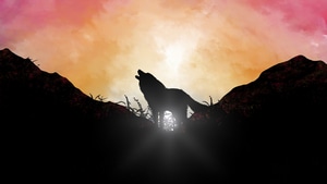 Fox, Artist, Artwork, Digital Art, Minimalism, Minimalist, Deviantart, 4K wallpaper
