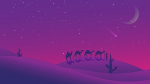 Camel, Desert, Minimalism, Minimalist, Artist, Artwork, Digital Art, 4K wallpaper