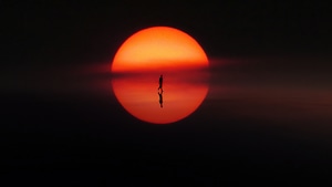 Silhouette, Sunset, Person, Photography, 4K wallpaper