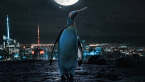 Penguin, Artist, Artwork, Digital Art, 4K wallpaper