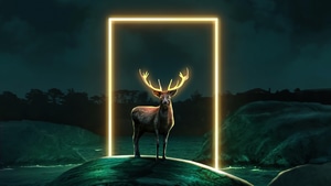 Deer, Artist, Artwork, Digital Art, Deviantart, 4K wallpaper