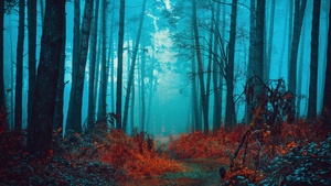 Mystical, Foggy forest, Path, Red leaves, Autumn, Tranquility, Peace, Beauty, Serene, Enchanting, 4K wallpaper