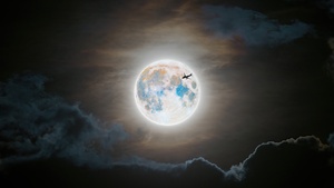 Full moon, Flight, Silhouette, Clouds, 4K wallpaper