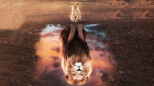 The Lion King, Movies, 2019 Movies, 4K wallpaper