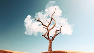 Tree, Clouds, Artist, Artwork, Digital Art, Manipulation, 4K wallpaper
