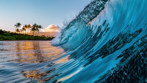 Ocean Waves, Palm trees, Tropical beach, Hawaii, 4K wallpaper