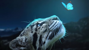 Leopard, Butterfly, Animals, Manipulation, Photoshop, 4K wallpaper