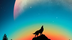 Wolf, Minimalism, Minimalist, Artist, Artwork, Digital Art, 4K wallpaper