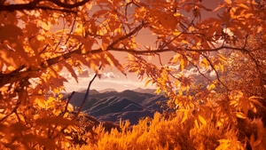 Autumn, Mountains, Nature, 4K wallpaper
