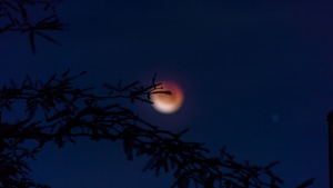 Moon, Nature, Evening, 4K wallpaper