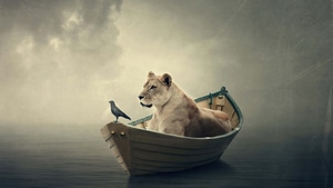 Lion, Boat, Manipulation, 4K wallpaper