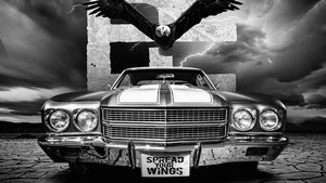 Cars, Eagle, Black And White, Monochrome, Artist, Artwork, Digital Art, 4K wallpaper