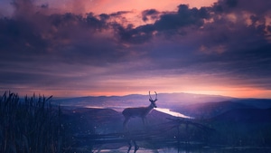 Deer, Artist, Artwork, Digital Art, 4K wallpaper
