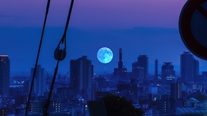 Moon, Evening, Night, Photography, 4K wallpaper