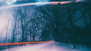 Snow, Storm, Photography, Trees, 4K wallpaper
