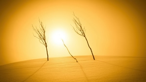 Desert, Nature, Photography, Sunlight, 4K wallpaper