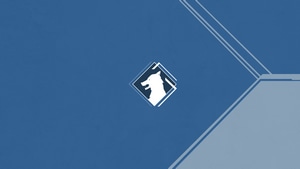 Destiny 2, Games, 2021 Games, 4K wallpaper