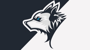 Wolf, Minimalism, Minimalist, Artist, Artwork, Digital Art, 4K wallpaper
