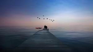 Love, Couple, Birds, Boat, 4K wallpaper