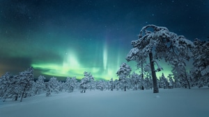 Aurora, Sky, Cold, Snow, Finland, Nature, 4K wallpaper