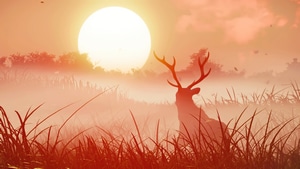 Ghost Of Tsushima, Reindeer, Deer, 2021 Games, Games, 4K wallpaper