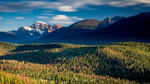 Mountains, Sky, Nature, Forest, 4K wallpaper