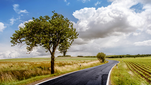 Countryside, Lone tree, Tarmac, Road, Landscape, 4K wallpaper
