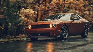 Dodge Challenger, Dodge, Cars, 4K wallpaper