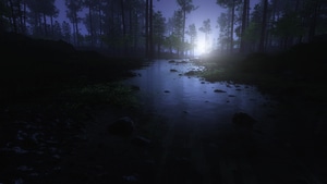Forest, Water, Night, Nature, 4K wallpaper