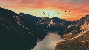 Nature, Birds, Mountains, Lake, 4K wallpaper
