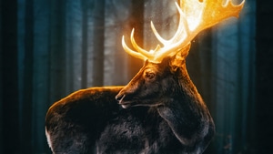 Reindeer, Forest, Artist, Artwork, Digital Art, Fantasy, 4K wallpaper
